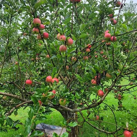 Apartment The Long Barn Skibbereen